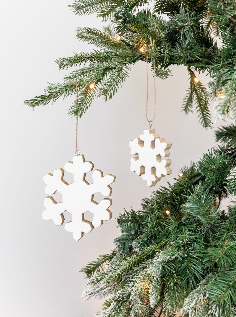 Enameled Snowflake Ornaments | Set of 2 - HJHOL0105 - OS