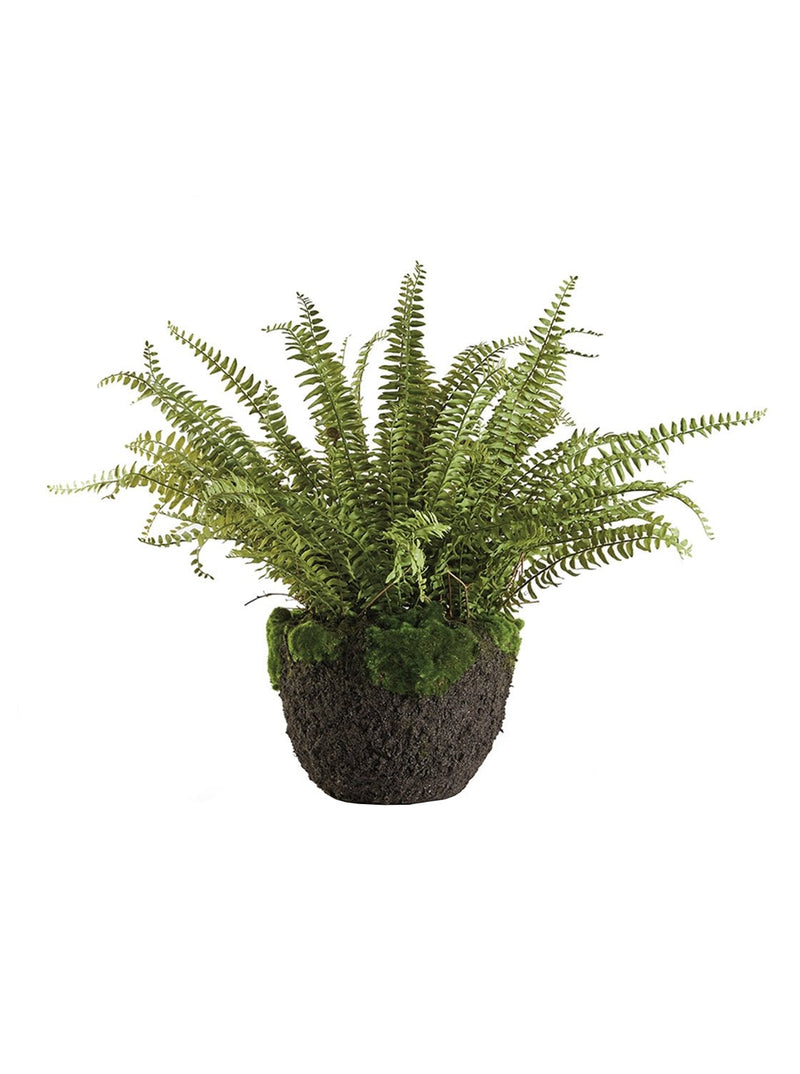 Faux Boston Fern Drop - In - HJGRN0059 - OS