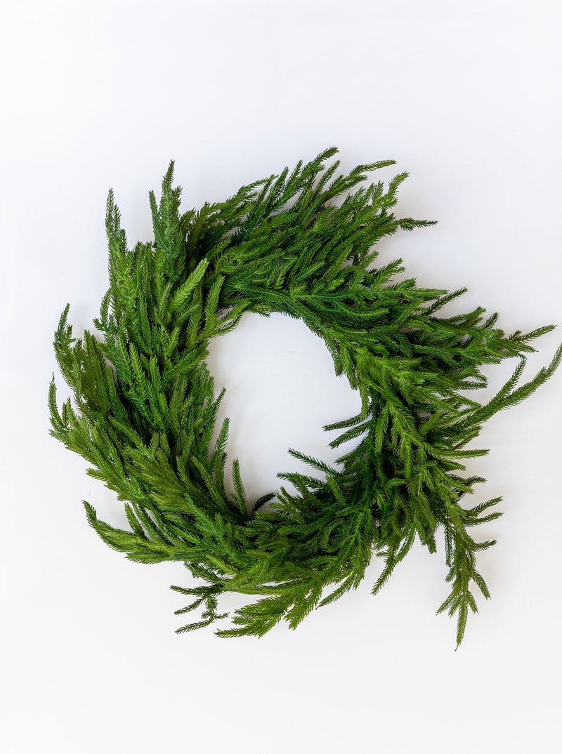 Faux Norfolk Pine Wreath - HJGRN0050 - OS