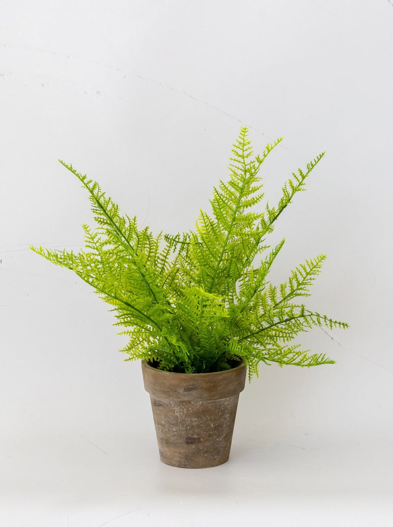 Faux Paper Mache Potted Fern - HJGRN0001 - OS