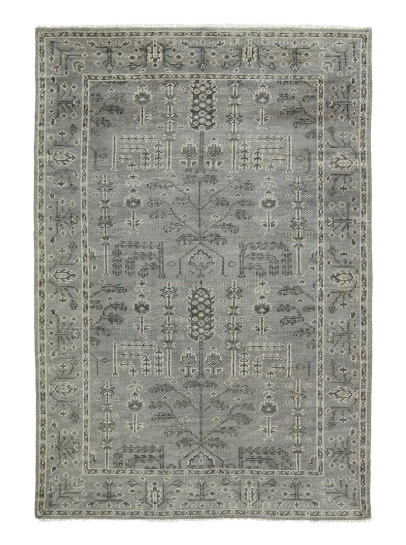 Frankfurt Gray Rug - HJRUG0098 - 3x10