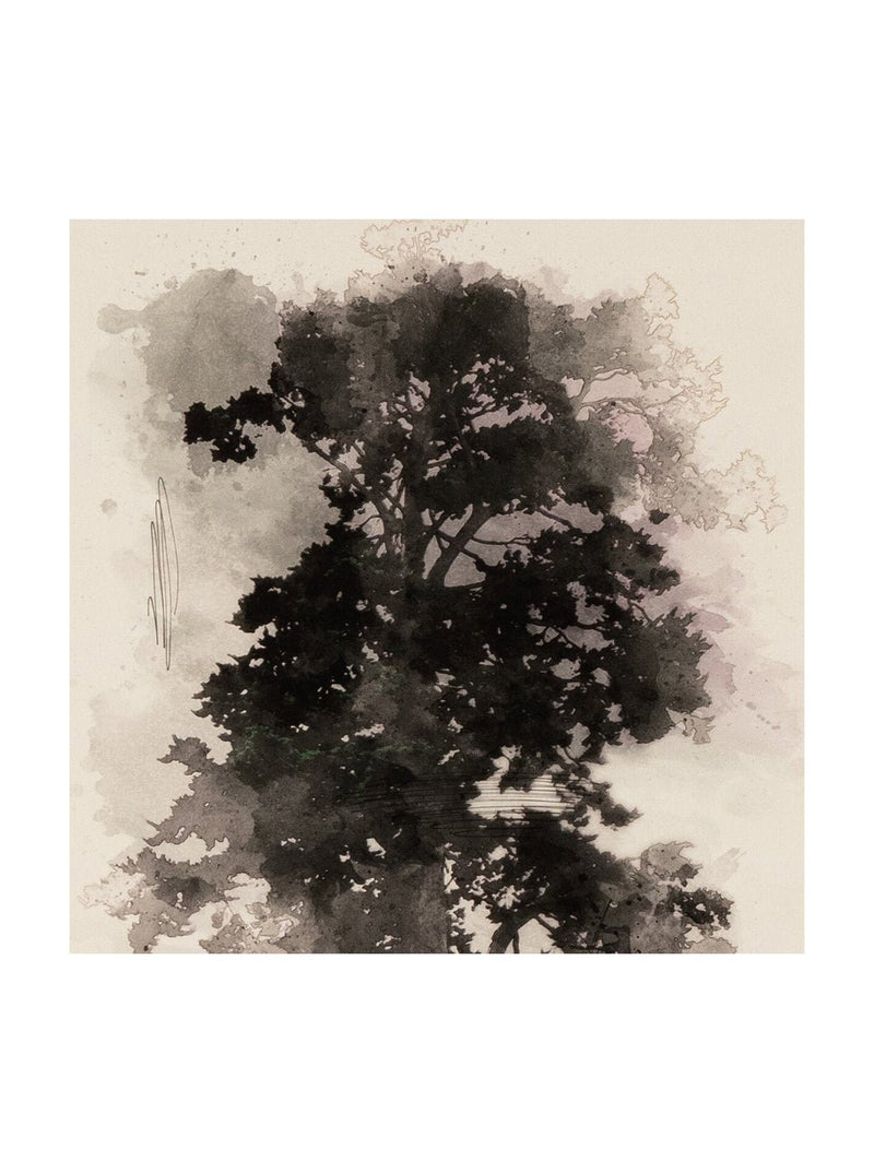 Ink Blotted Tree Sketch - HJART0293 - 18x24