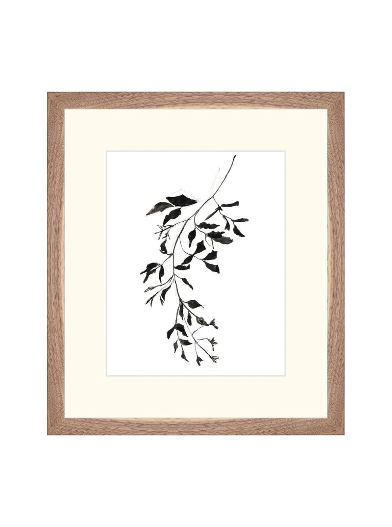 Inked Botanicals II - HJART0228 - WNT - 13X15