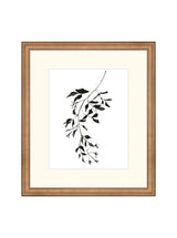 Inked Botanicals II - HJART0228 - BNZ - 13X15