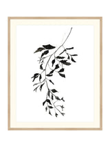 Inked Botanicals II - HJART0228 - OAK - 29X35