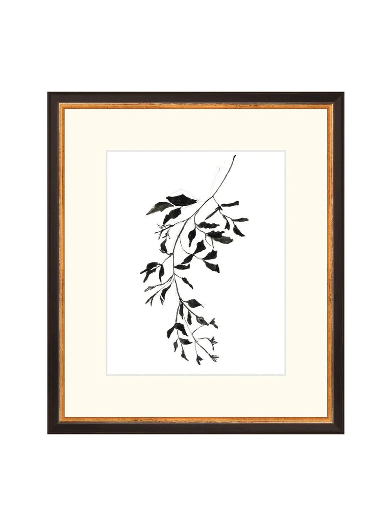 Inked Botanicals II - HJART0228 - BGD - 13X15