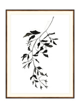 Inked Botanicals II - HJART0228 - BGD - 35X45