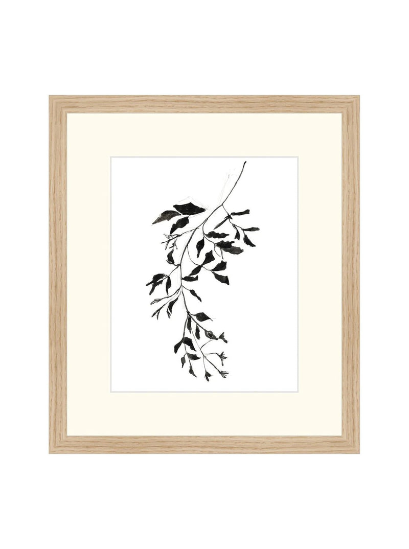 Inked Botanicals II - HJART0228 - OAK - 13X15