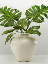 Madden Vase - HJDCR0291 - OS