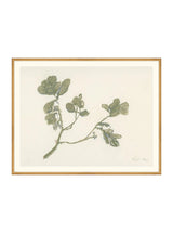 Mistletoe - HJART0261 - GLD - 35x45