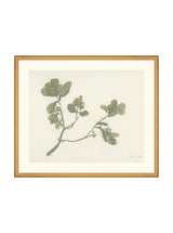 Mistletoe - HJART0261 - GLD - 21x25