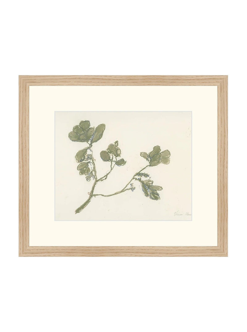 Mistletoe - HJART0261 - OAK - 13x15