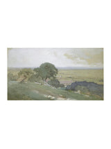 Olive Grove - HJART0071 - UN - 11x16