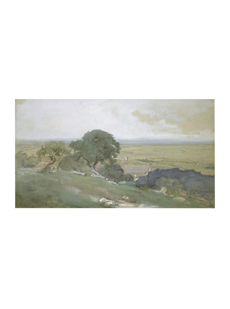 Olive Grove - HJART0071 - UN - 11x16