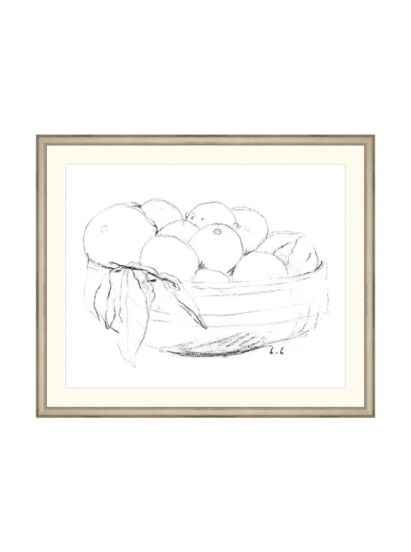 Oranges Sketch - HJART0264 - SLV - 20x24