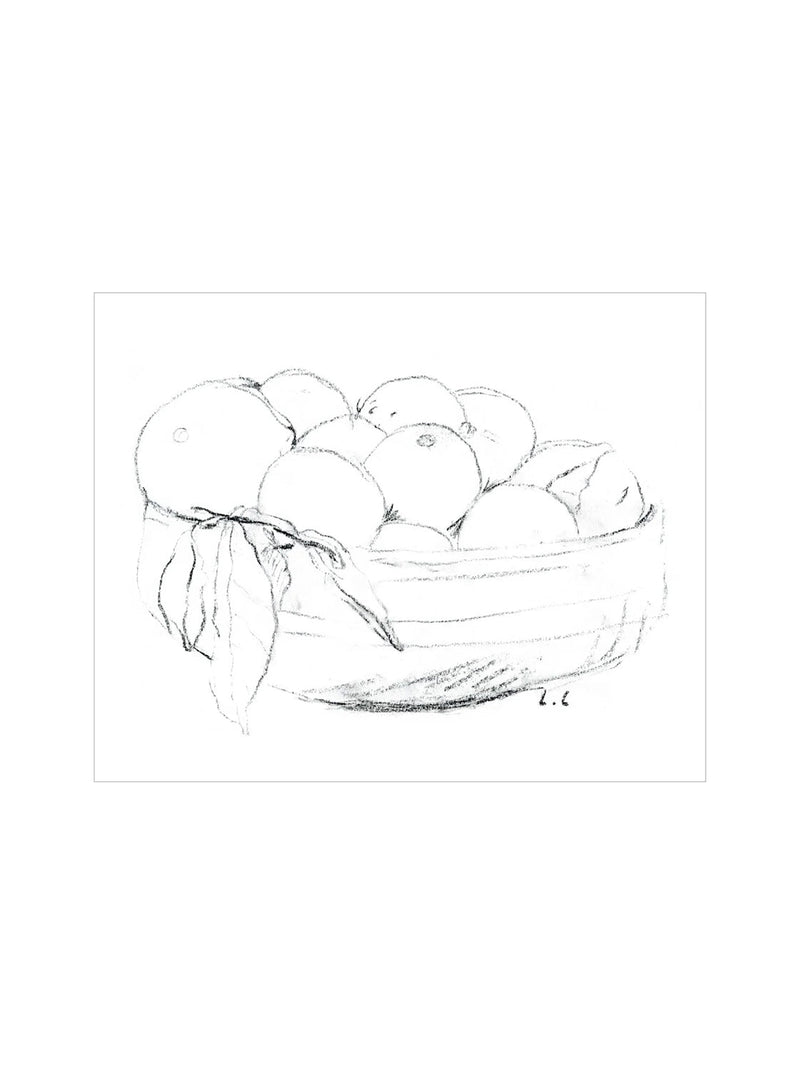 Oranges Sketch - HJART0264 - UF - 8x10