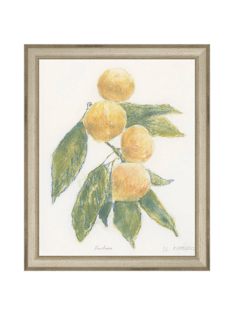 Pastel Mandarin - HJART0283 - SIL - 8X10