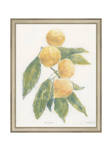 Pastel Mandarin - HJART0283 - SIL - 11x14