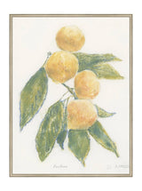 Pastel Mandarin - HJART0283 - SIL - 30x40