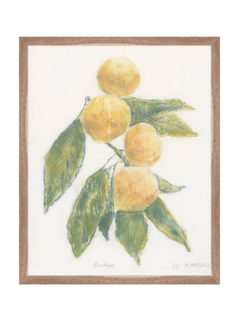 Pastel Mandarin - HJART0283 - WLN - 16x20