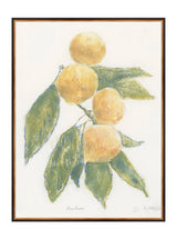 Pastel Mandarin - HJART0283 - BDG - 30x40