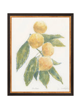 Pastel Mandarin - HJART0283 - BDG - 11x14