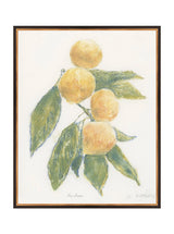 Pastel Mandarin - HJART0283 - BDG - 24x30