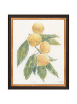 Pastel Mandarin - HJART0283 - BDG - 8X10