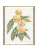 Pastel Mandarin - HJART0283 - SIL - 16x20