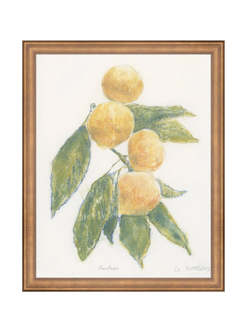 Pastel Mandarin - HJART0283 - BNZ - 11x14