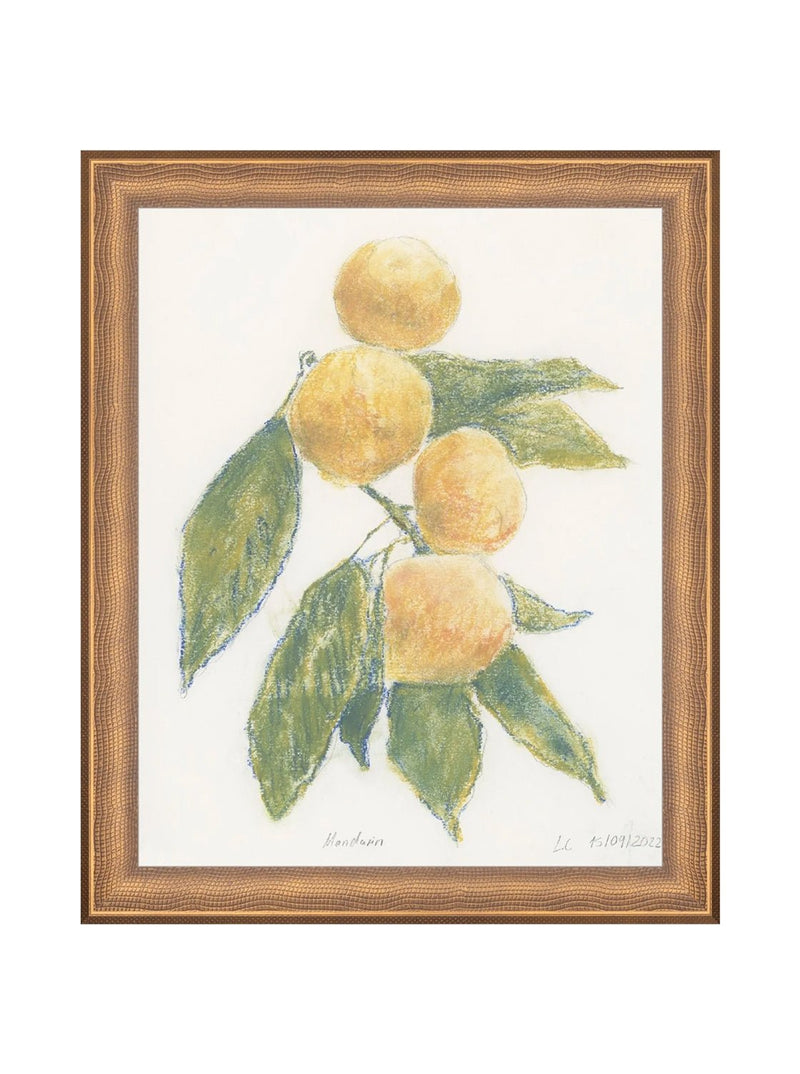 Pastel Mandarin - HJART0283 - BNZ - 8X10