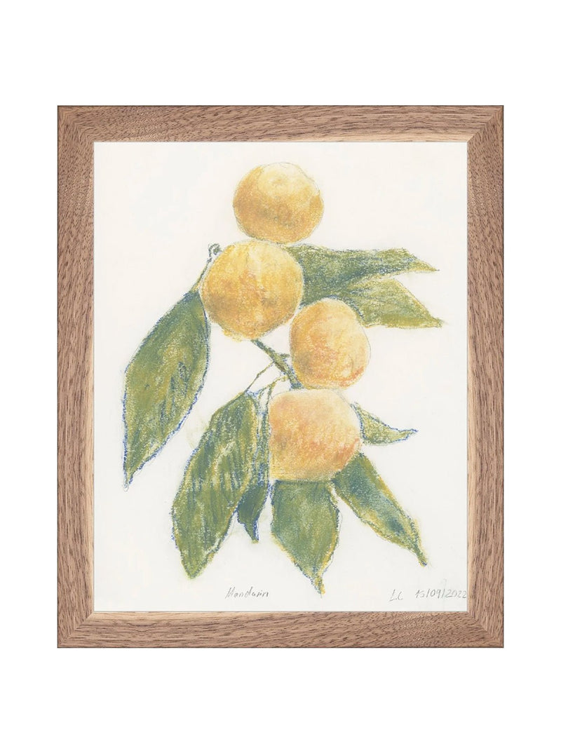 Pastel Mandarin - HJART0283 - WLN - 8X10