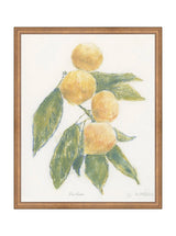 Pastel Mandarin - HJART0283 - BNZ - 16x20