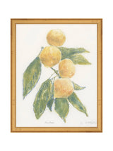 Pastel Mandarin - HJART0283 - GLD - 11x14