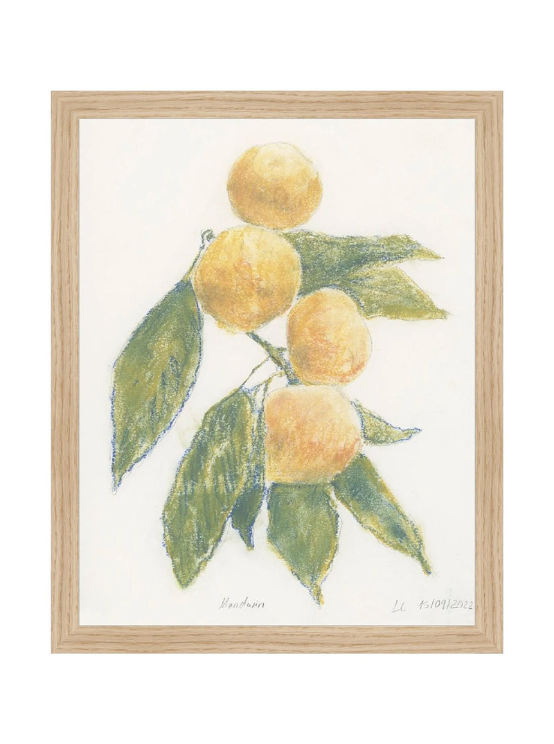 Pastel Mandarin - HJART0283 - OAK - 11x14