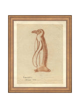 Penguin Sketch - HJART0184 - BNZ - 8x10