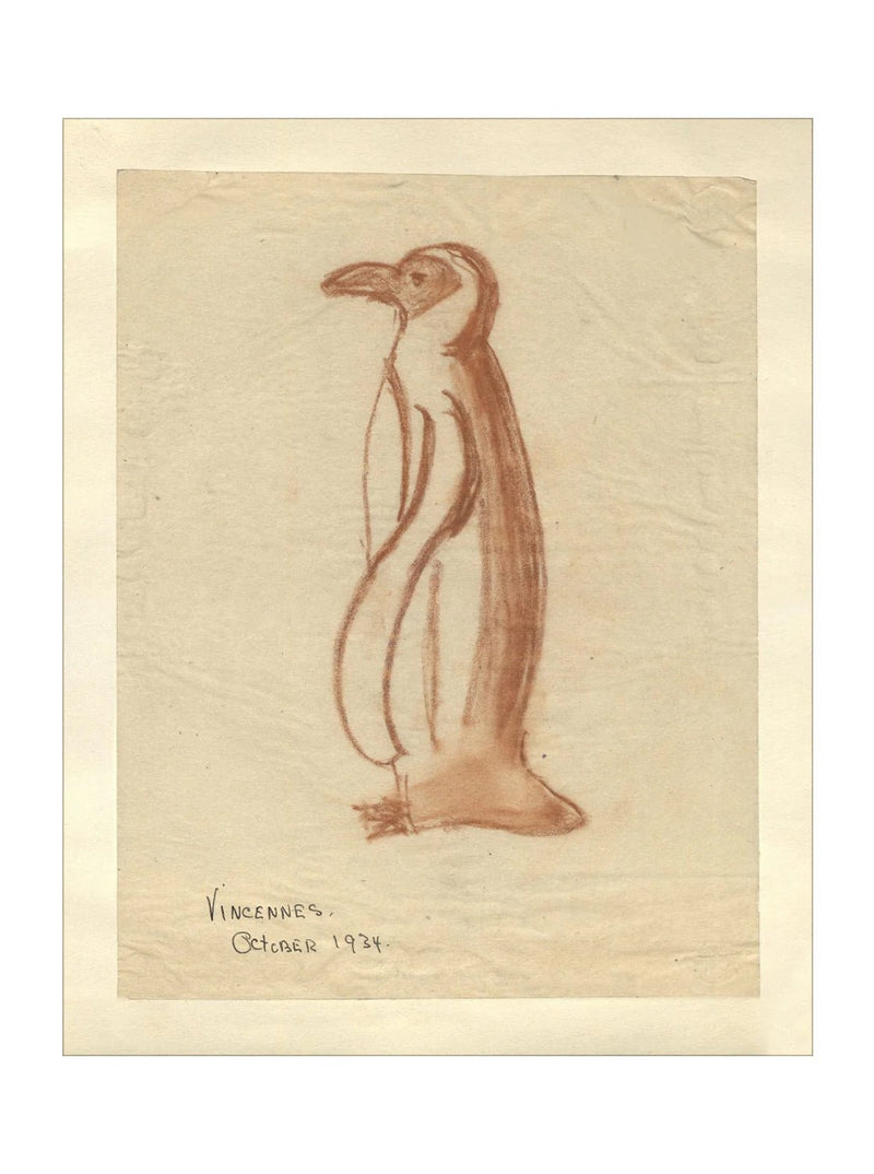 Penguin Sketch - HJART0184 - UF - 8x10