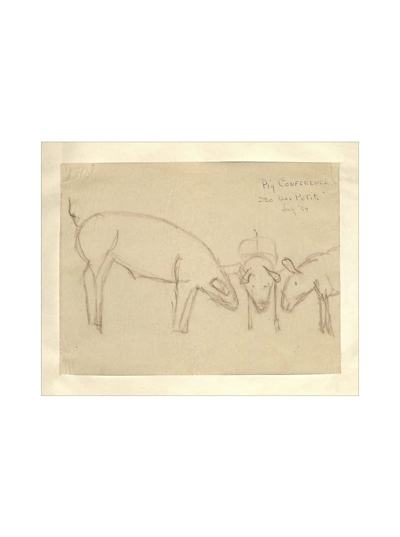 Pig Sketch - HJART0268 - UF - 8x10