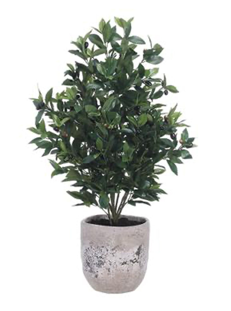 Potted 45" Faux Olive Tree - HJGRN0057 - OS