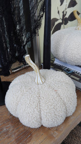 Boucle Pumpkins