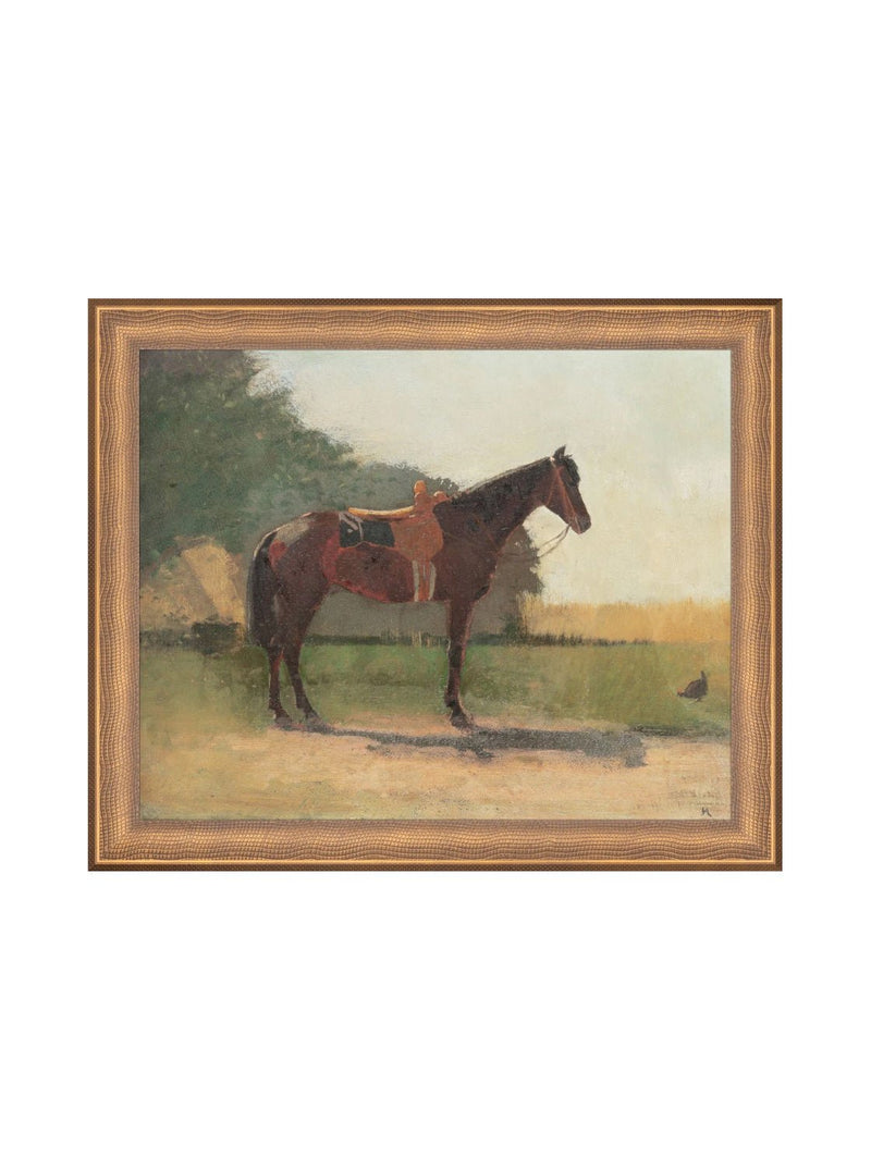 Saddled Horse - HJART0179 - BNZ - 8x10