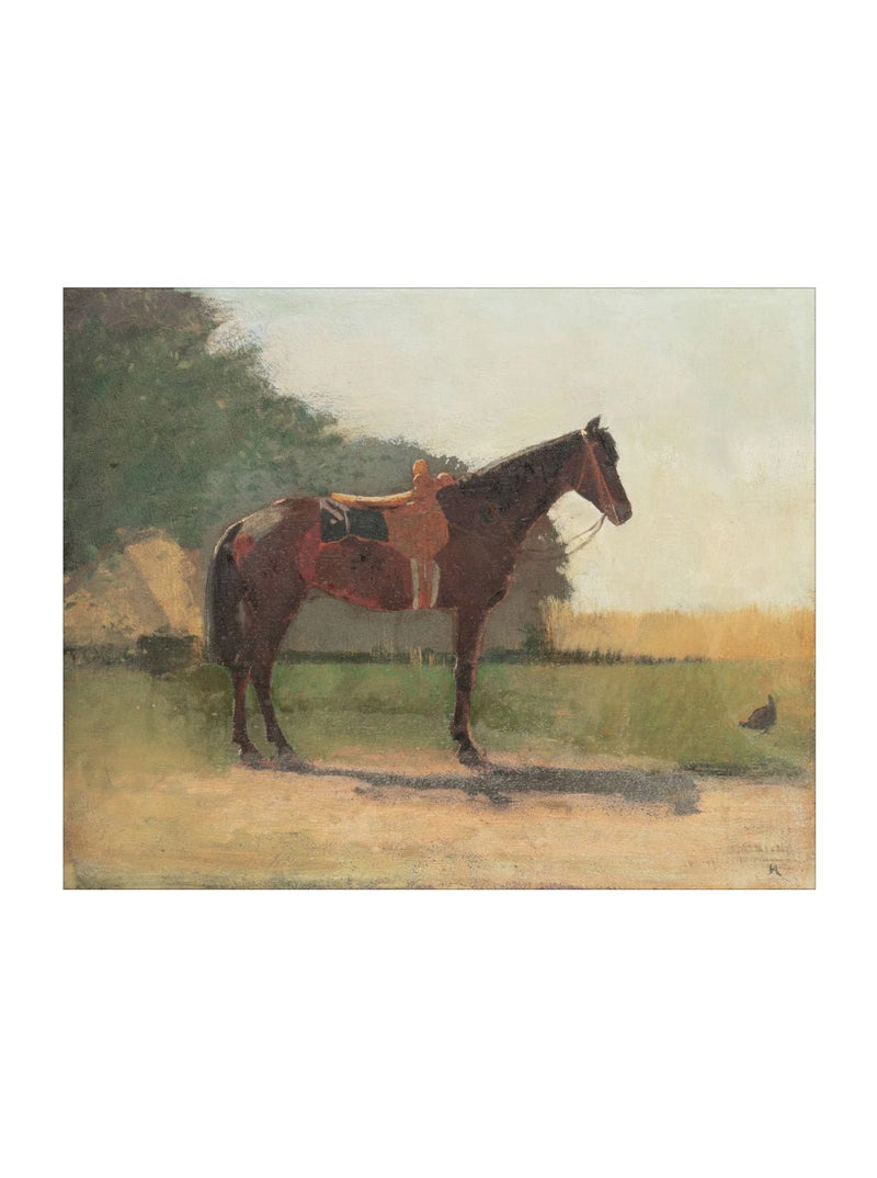 Saddled Horse - HJART0179 - UF - 8x10