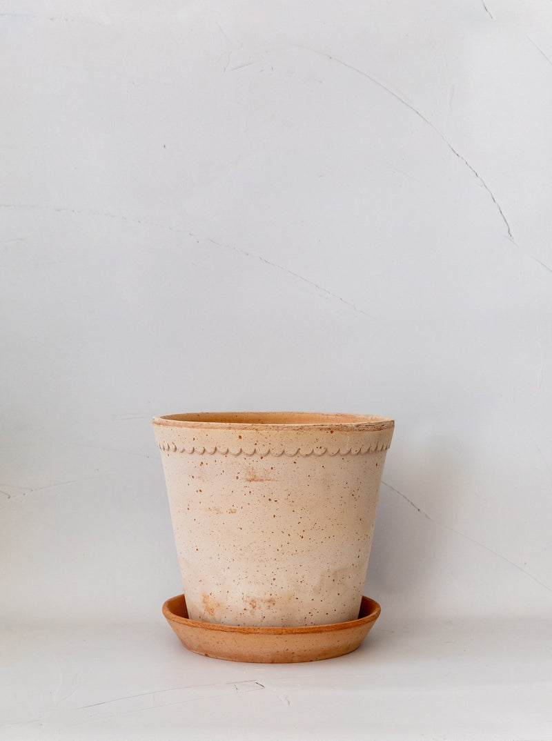 Scalloped Terracotta Pot & Saucer - HJDCR0370 - L