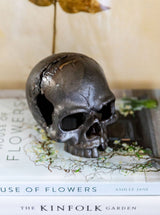 Skull Object - HJDCR0262 - OS