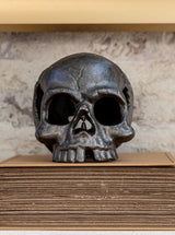 Skull Object - HJDCR0262 - OS