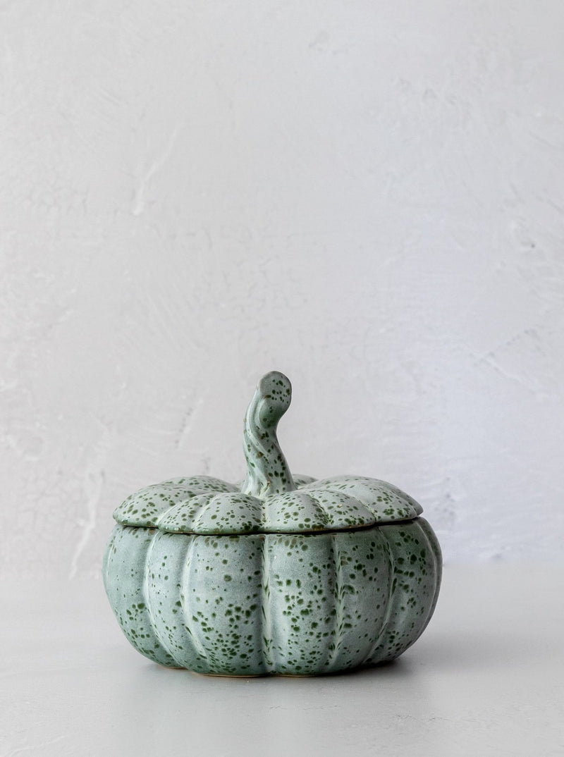 Speckled Pumpkin Jar - HJDCR0254 - OS